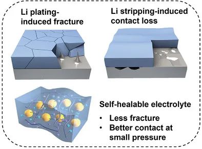 Arumugam Manthiram教授AFM: 用于长寿命、低锂过量锂金属电池的自修复复合电解质