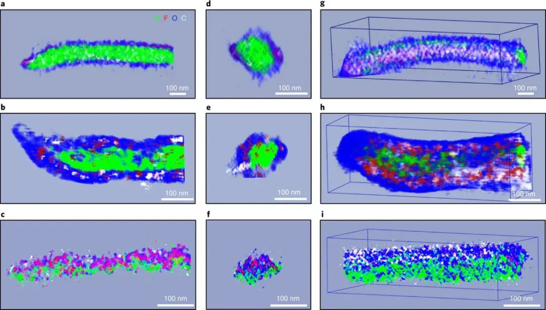 三单位联发Nature nanotechnol.: 冷冻电镜立功！揭示SEI向Si负极内部的逐渐生长导致容量衰减