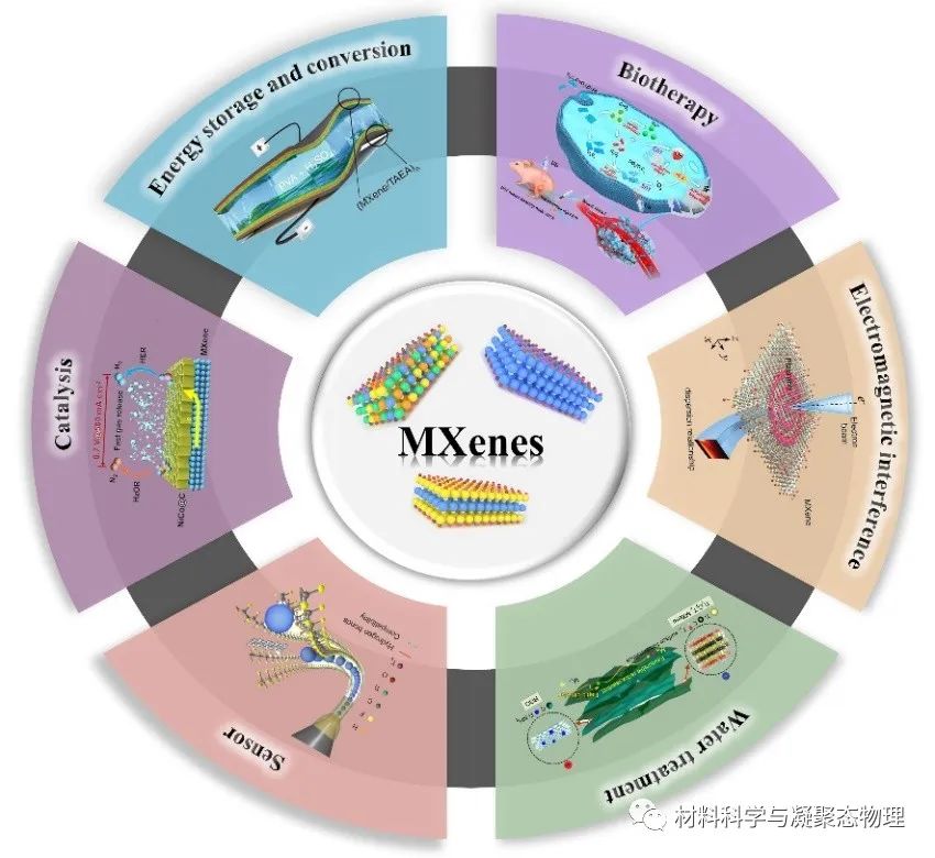 吉林大学最新MXenes综述:用于下一代技术的制备策略和构效关系的进展与展望