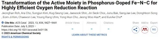 ACS Catalysis：磷掺杂Fe-N-C中活性部分的转变实现高效氧还原反应