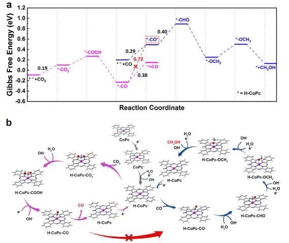 催化顶刊集锦：Nature子刊、JACS、ACS Catal.、AFM、Nano Energy等成果