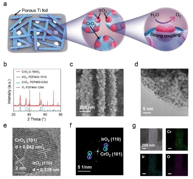 清华/物构所EES：CrO2和IrO2之间强耦合，助力CrO2-0.16IrO2实现高电流密度酸性OER