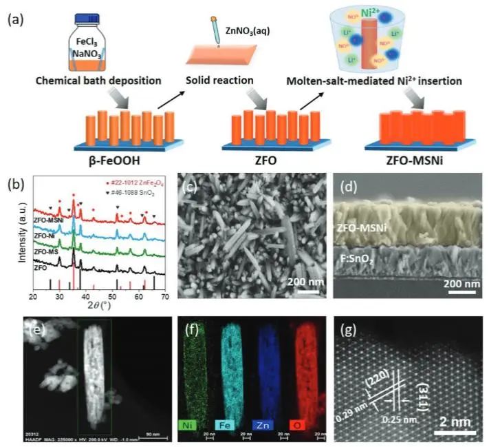 催化顶刊集锦：JACS、Nature子刊、Adv. Sci.、Nano Energy、ACS Nano等