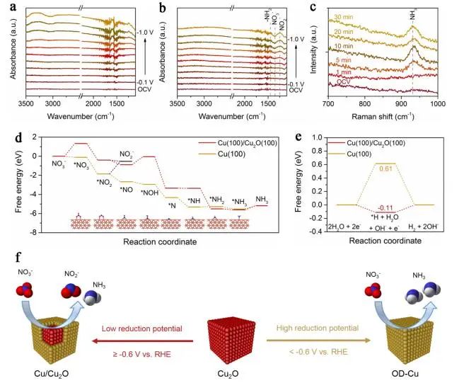 张新波/钟海霞/鲍迪ACS Catalysis：电化学诱导氧化铜催化剂合成，用于选择性硝酸还原制氨