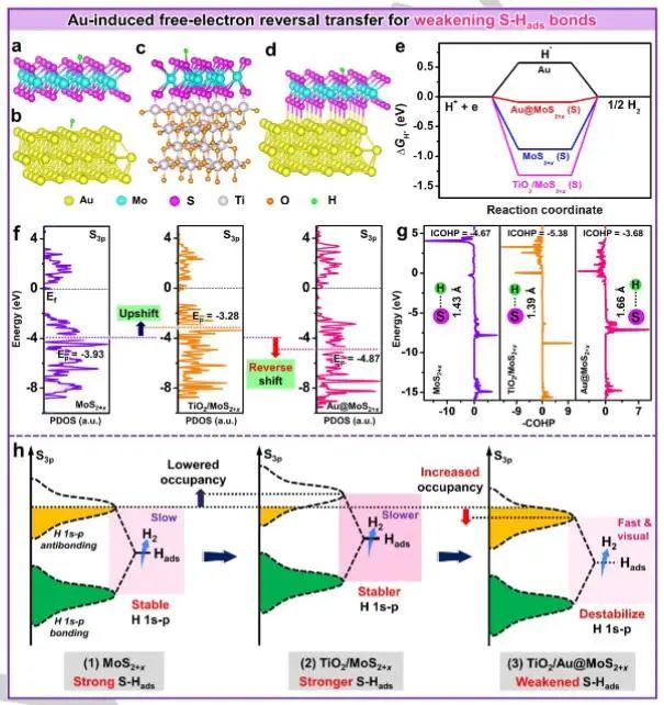 催化顶刊集锦：JACS、Angew.、AFM、ACS Catal.、Adv. Sci.、Small等成果