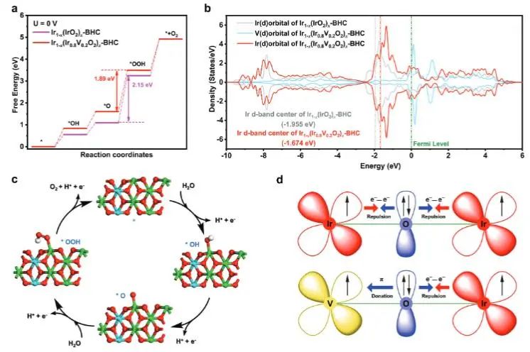 催化顶刊集锦：JACS、Angew.、AFM、ACS Catal.、Adv. Sci.、Small等成果