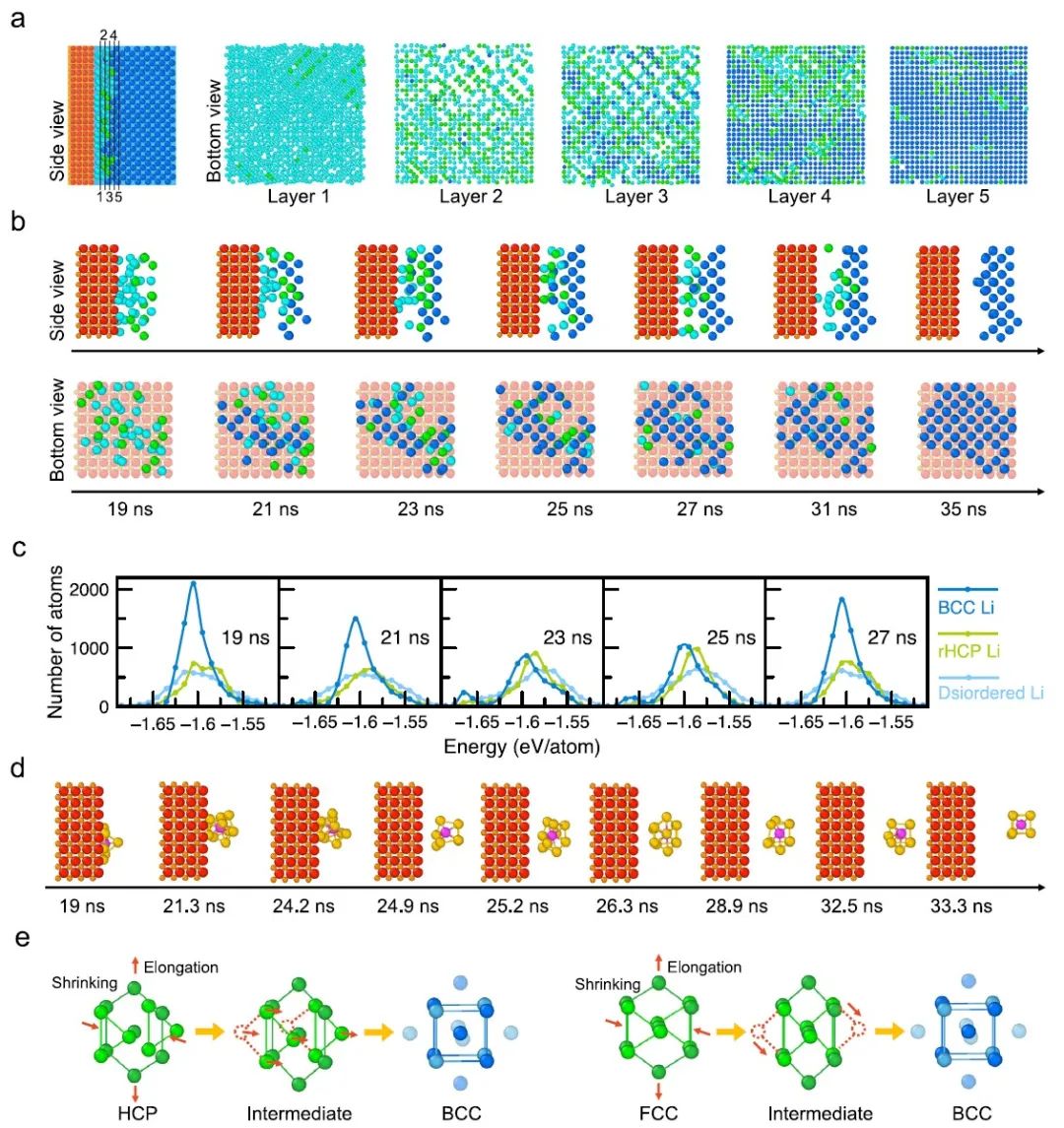 莫一非Nature子刊：分子动力学模拟揭示锂在固态界面结晶的原子路径