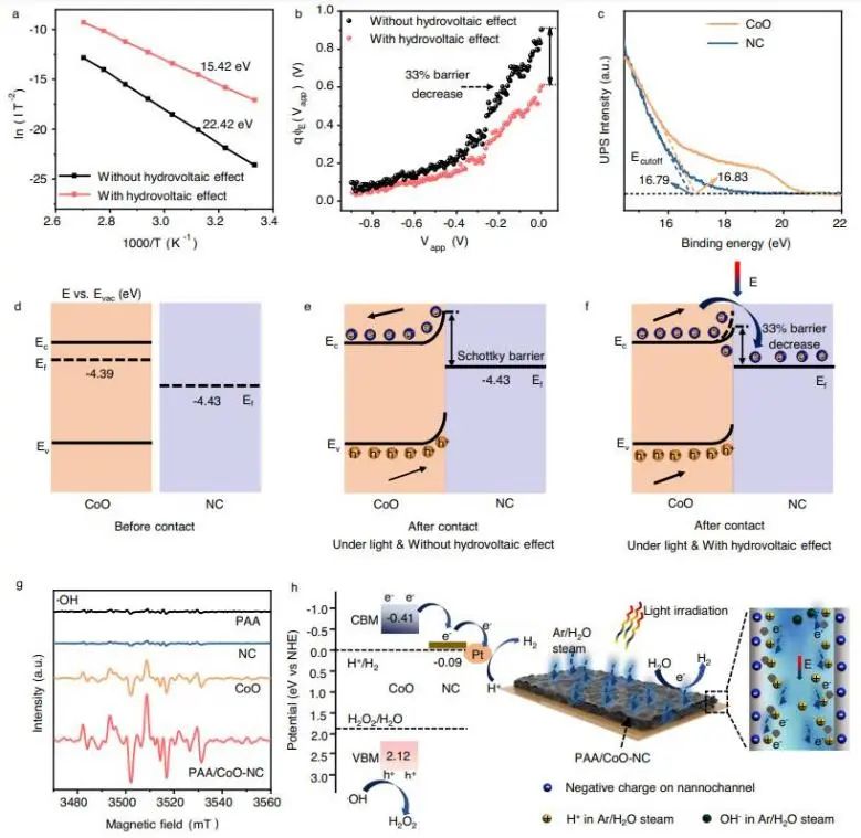 催化顶刊集锦：Nature子刊、JACS、AFM、ACS Catalysis、Nano Energy等