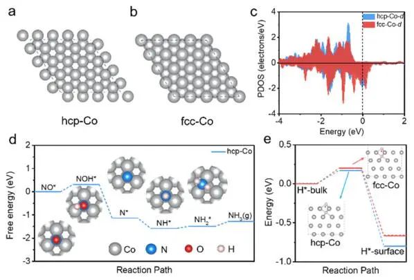 王双印/陈晨等JACS​：hcp-Co高效电催化NO还原制NH3