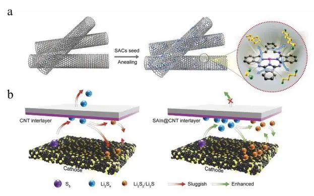 计算文献速递：Nature Catalysis、EES、JACS、Chem、EnSM、Nat. Commun.等！