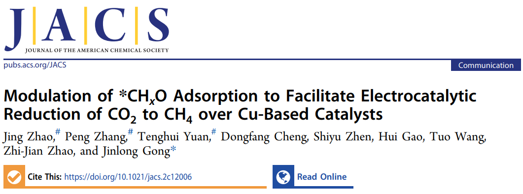 巩金龙团队，最新JACS！