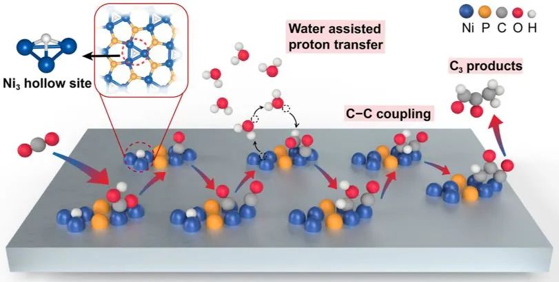 ​北大ACS Catalysis：Ni2P催化剂的多中心协同作用用于增强电化学CO2还原中的C-C偶联