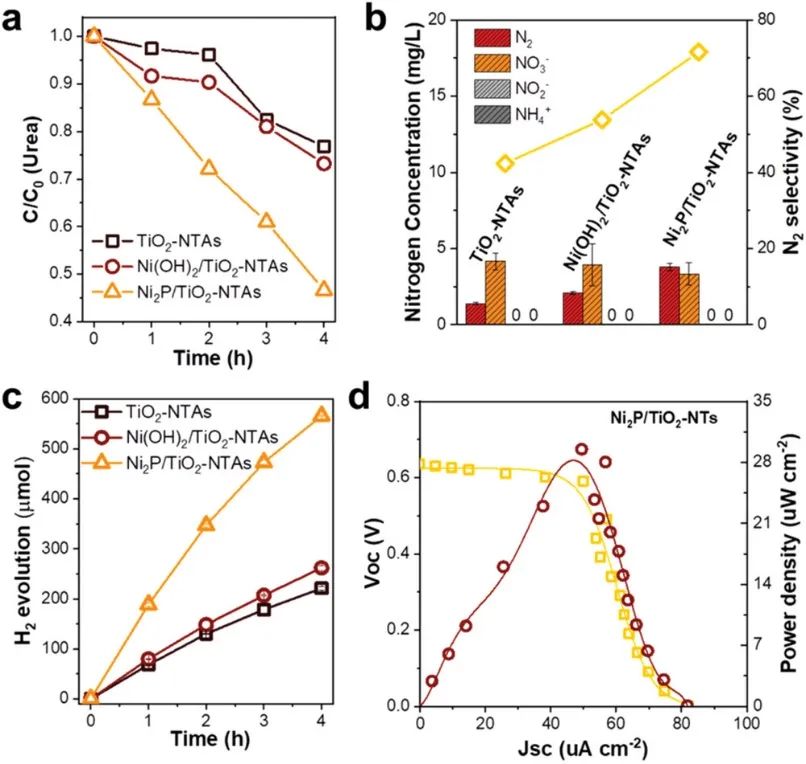 上师大AFM：Ni2P/TiO2-NTAs助力PEC-UOR