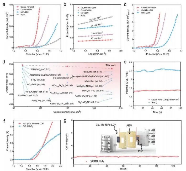 催化顶刊集锦：JACS、Angew.、AM、AEM、Adv. Sci.、Small等成果集锦！