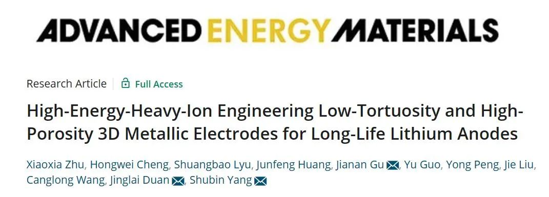 AEM：高能重离子工程实现低迂曲度高孔隙率三维金属长寿命锂负极