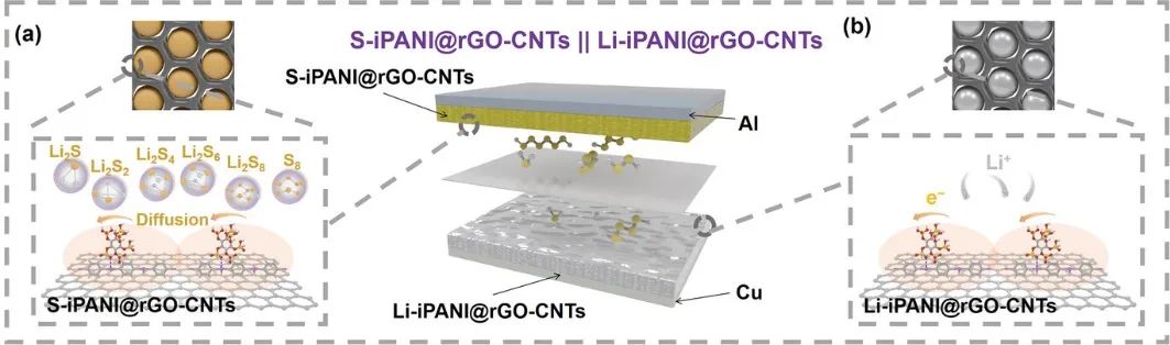 AEM：iPANI@rGO-CNTs助力稳定耐用、高倍率的全Li-S电池