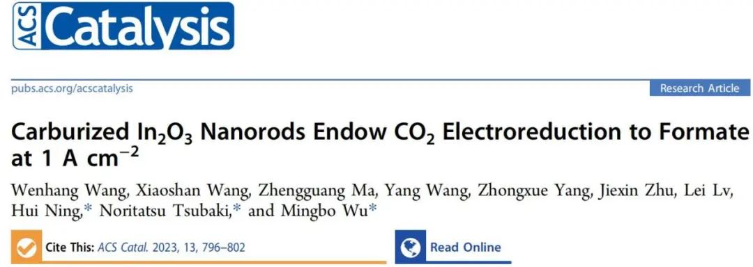 石大/富大​ACS Catal.：用于CO2电化学还原制甲酸盐的In2O3-C纳米棒