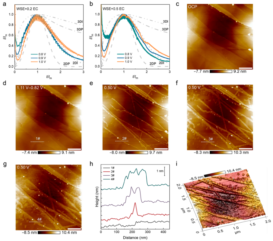 张强教授，最新JACS！