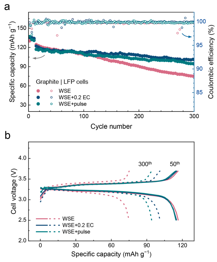 张强教授，最新JACS！