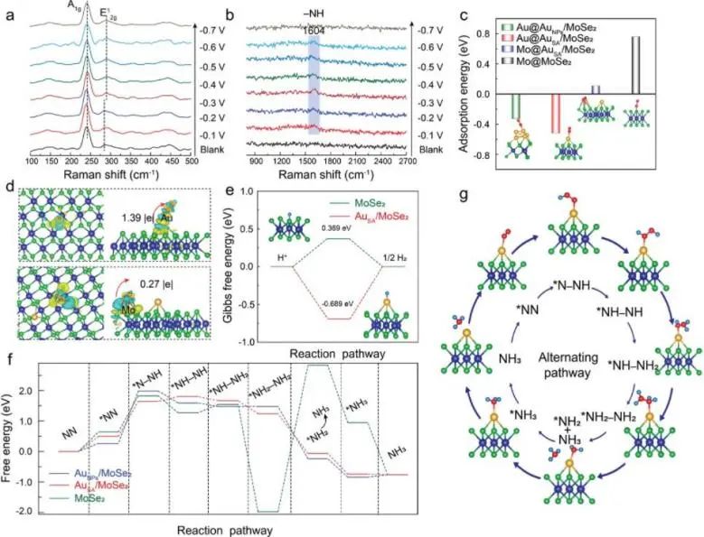 8篇催化顶刊：Angew.、AFM、ACS Catal.、Small、Adv. Sci.等最新成果