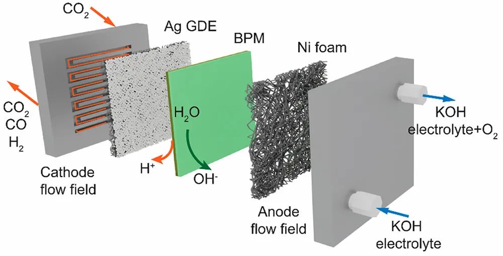 ACS Energy Lett.：阳离子驱动增加双极膜电极组件中CO2利用率