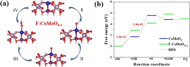 中大/色萨利大学Appl. Catal. B.: 具有富氧空位的新型F-CoMoO4纳米片提高OER活性