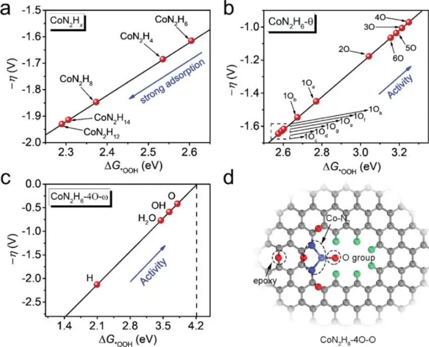 8篇催化顶刊：Angew.、AFM、 ACS Catal.、Adv. Sci.等最新成果