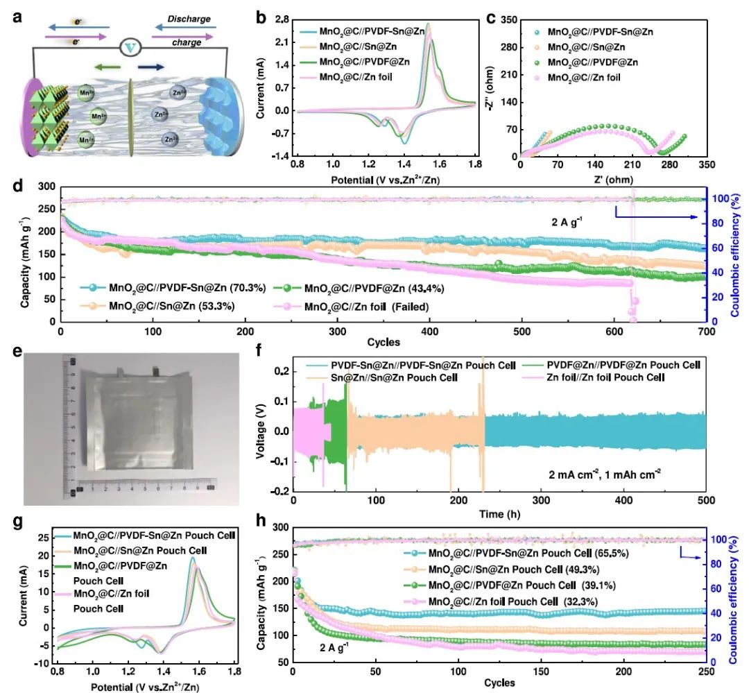 电池顶刊集锦：Nature子刊、Angew、EES、AFM、ACS Energy Lett.、ACS Nano等成果！