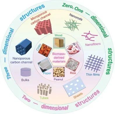 陈志刚/杨艳玲AFM: 用于高性能电池的生物质碳材料结构-性能关系