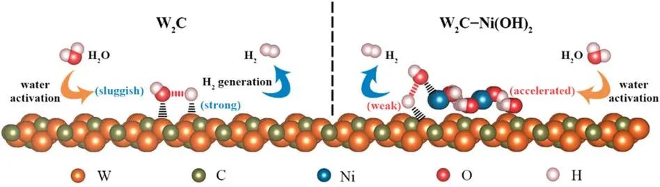 西南大学罗红群/李念兵Appl. Catal. B.：W2C负载Ni(OH)2的界面工程用于碱性HER