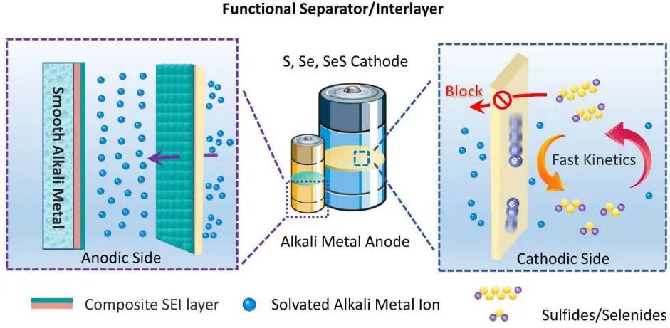 引文552篇！一文看尽用于稳定碱金属-硫/硒电池电极的多功能隔膜！