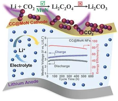 程建丽/王斌AFM: 无粘结剂MON纳米纤维催化剂助力高能效柔性Li-CO2电池