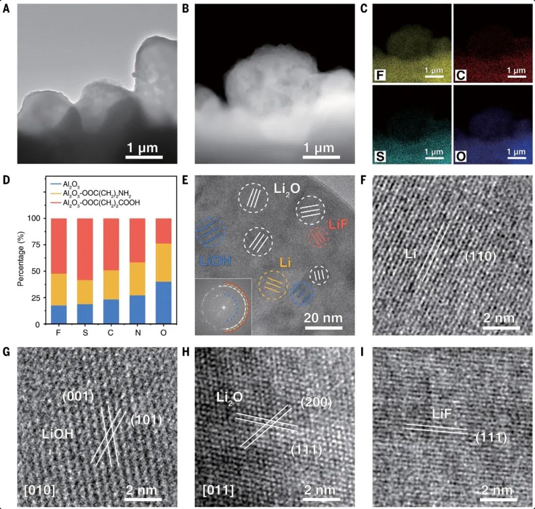 浙工大陶新永/NTU楼雄文Science：构筑LiF界面，实现锂金属电池突破