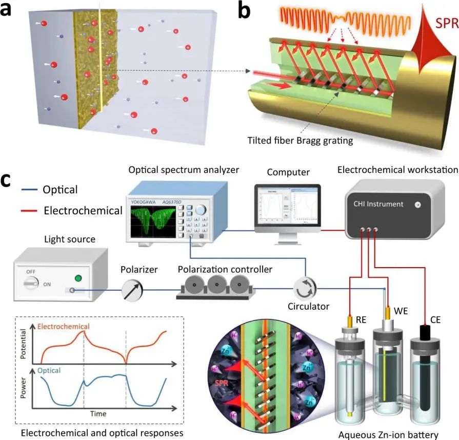 郭团/卢锡洪Nature子刊：等离子体光纤传感器原位监测水系电池中的离子运动