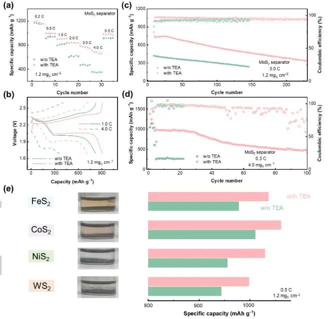 张强团队一天两篇顶刊，连发JACS、Angew.！