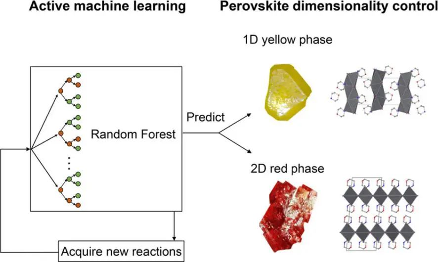 劳伦斯伯克利国家实验室CM: 主动学习引导金属卤化物钙钛矿结晶的维度控制