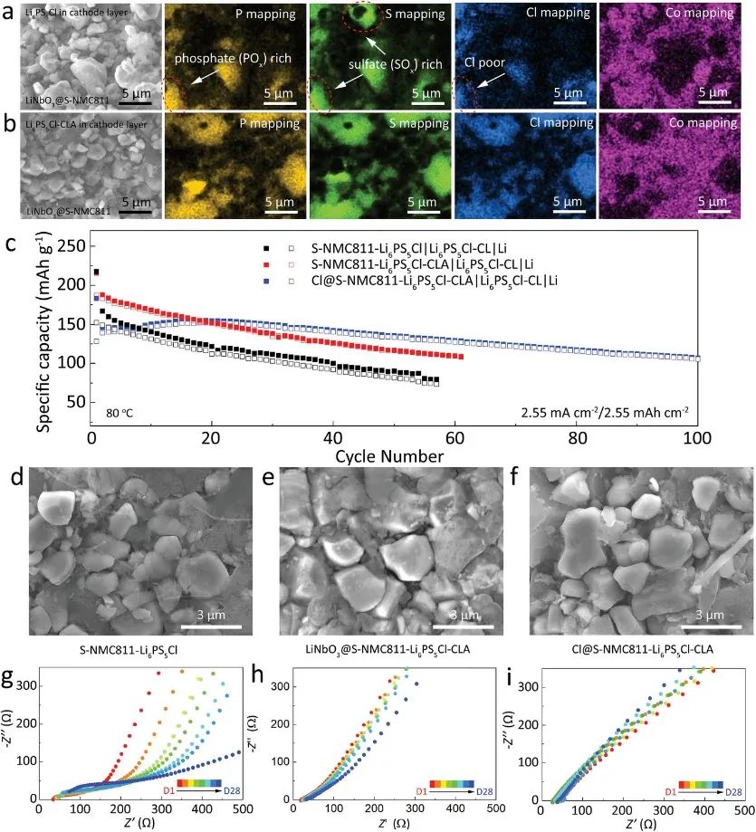 刚发完Nature Nanotechnology，再来篇AFM！