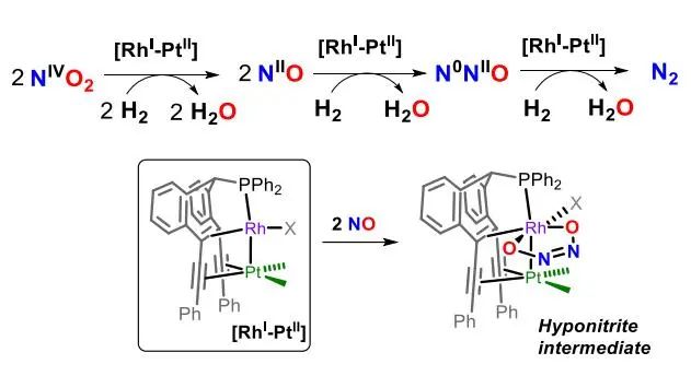 Angew.：Rh(I)-Pt(II)烯烃配合物催化氢气还原氮氧化物