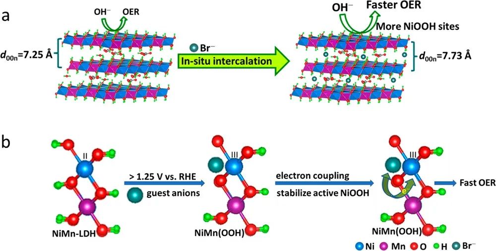 ACS Nano：原位电化学活化层状双氢氧化物OER的活性相及催化机理