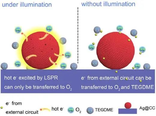 吉大徐吉静EnSM: 局部表面等离子体共振增强非质子Li-O2电池的电化学动力学和产物选择性