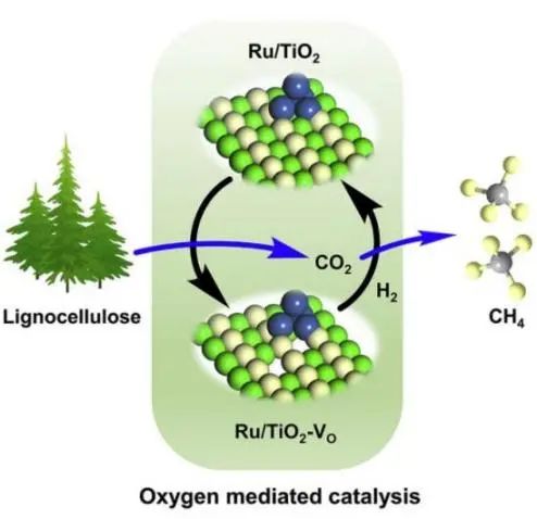 中科院王峰/王敏Joule: 界面氧空位(VO)介导的Ru/TiO2催化剂将生物质直接甲烷化