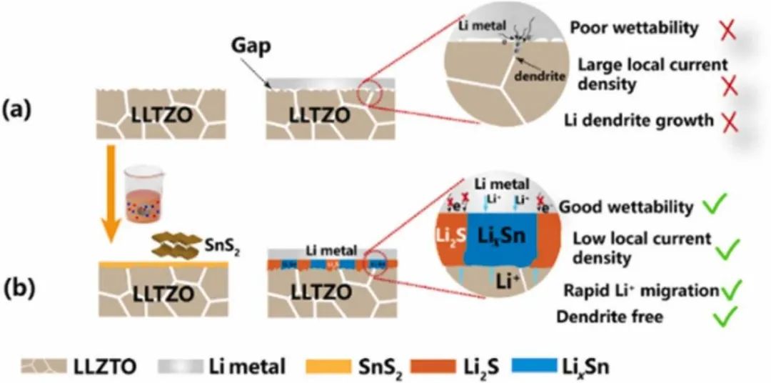 张久俊院士/蒋永Nano Energy：低成本快速实现高性能石榴石基固态锂金属电池