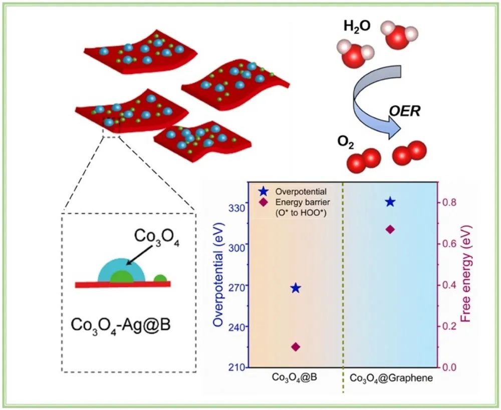深大Appl. Catal. B.：Ag纳米粒子修饰硼烯负载Co3O4催化剂助力OER