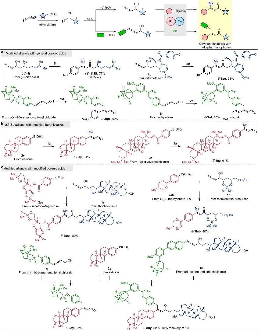 上海有机所&复旦Nature Catalysis：E-型烯醛/烯酮合成新策略！