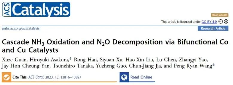 ACS Catalysis：构建Co-Cu双功能催化剂，实现NH3氧化和N2O分解串联反应