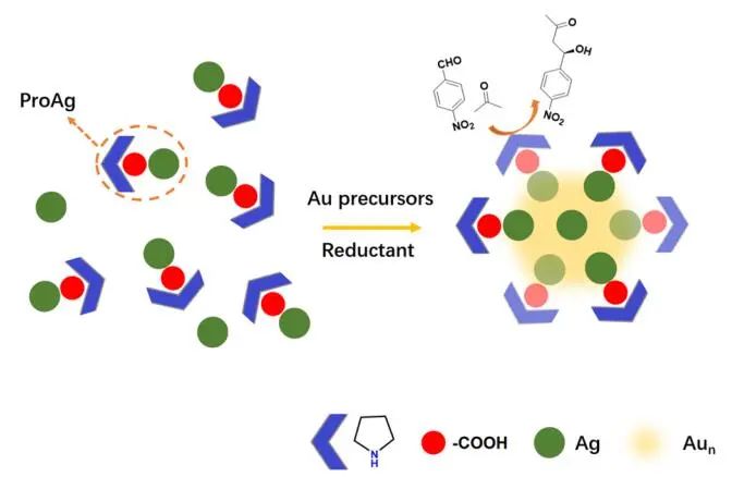 清华王泉明教授​JACS：脯氨酸基金属纳米团簇实现金属/有机催化