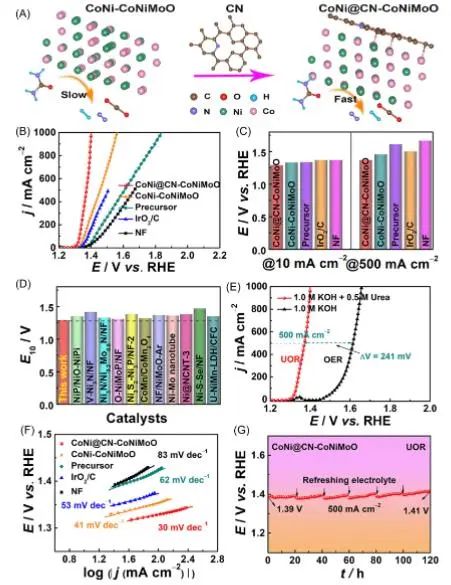 催化顶刊集锦：Nature子刊、EES、AM、EnSM、Carbon Energy、Small等成果