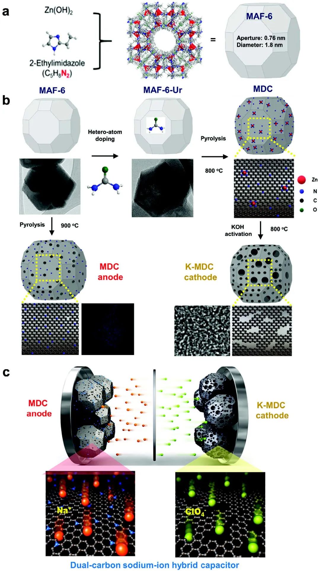 ​Adv. Sci.：三维多孔氧氮掺杂石墨碳作为高性能正极和负极材料