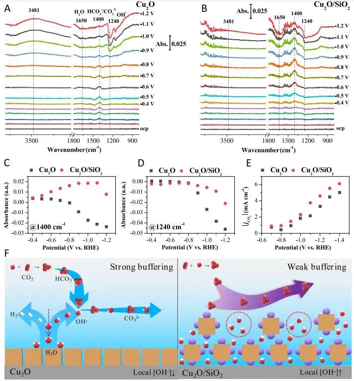 催化顶刊集锦：JACS、AEM、AFM、Adv. Sci.、ACS Catal.、ACS Nano、Small等成果