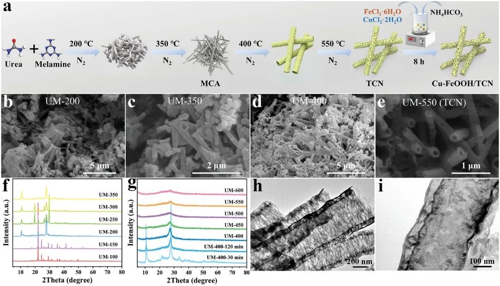 Small：0D/3D Cu-FeOOH/TCN光催化剂有效去除有机染料